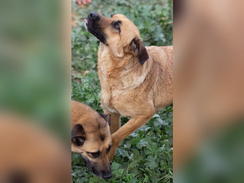 Dora geht mit dir durch dick & dünn