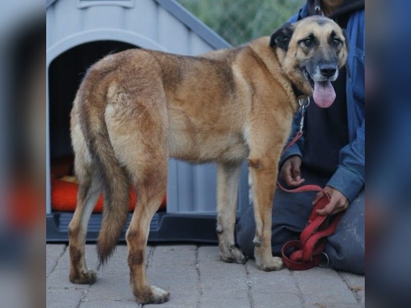 Dora geht mit dir durch dick & dünn