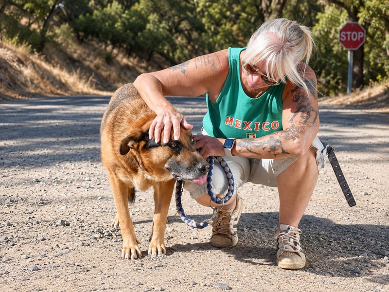 Alpha – dringend Körbchen gesucht