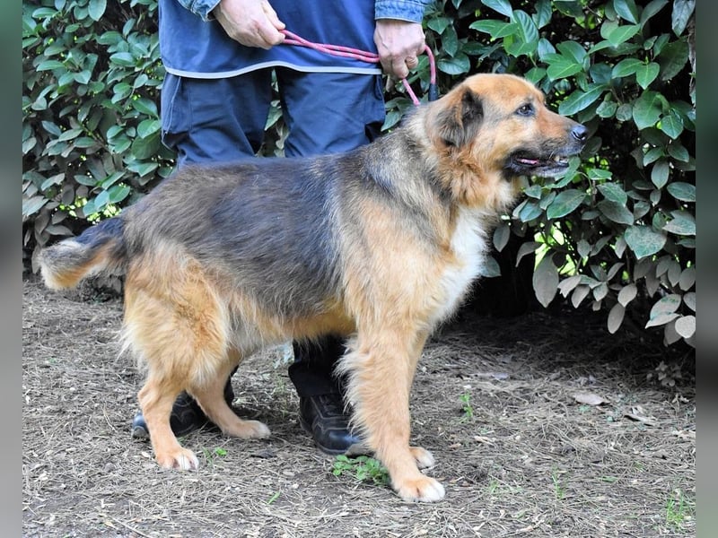 Zenone - Die unbeantwortete Frage von 2021