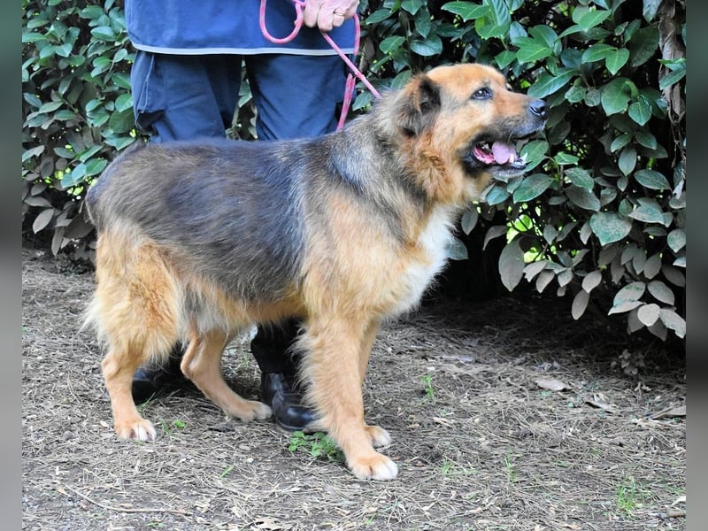 Zenone - Die unbeantwortete Frage von 2021