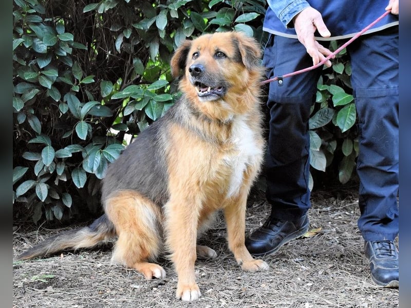 Zenone - Die unbeantwortete Frage von 2021