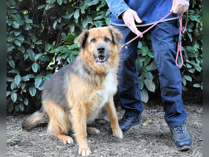 Zenone - Die unbeantwortete Frage von 2021