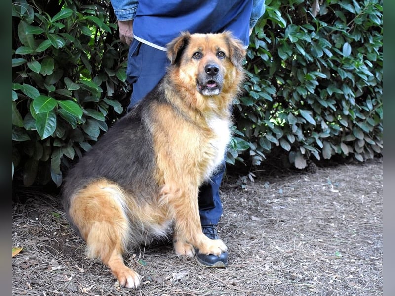 Zenone - Die unbeantwortete Frage von 2021