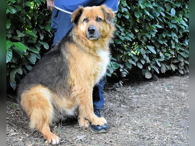 Zenone - Die unbeantwortete Frage von 2021