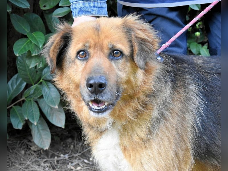 Zenone - Die unbeantwortete Frage von 2021