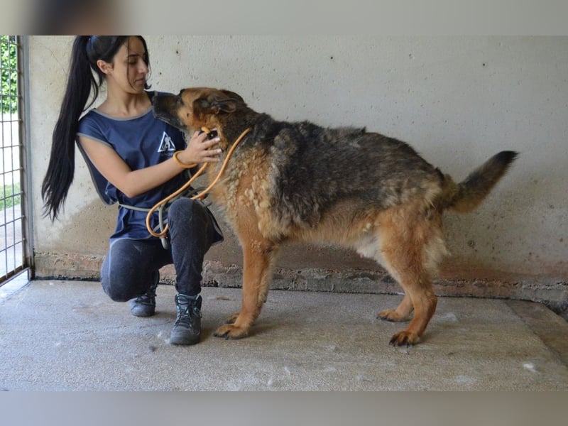 Baley - Groß, größer, Baley