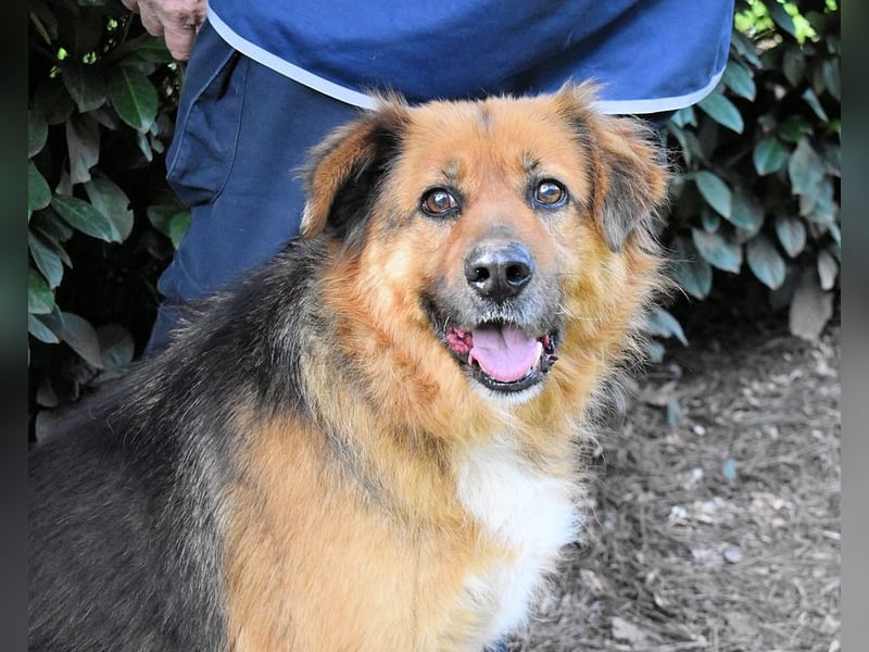 Zenone - Die unbeantwortete Frage von 2021