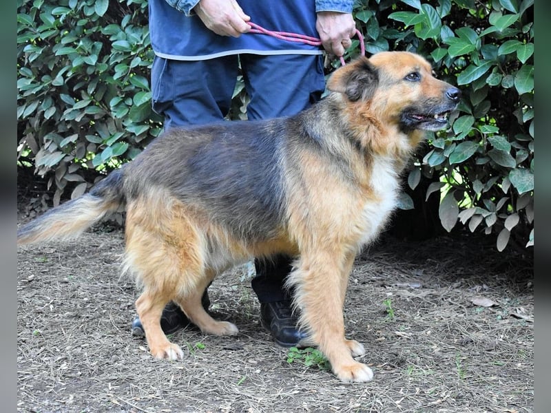 Zenone - Die unbeantwortete Frage von 2021