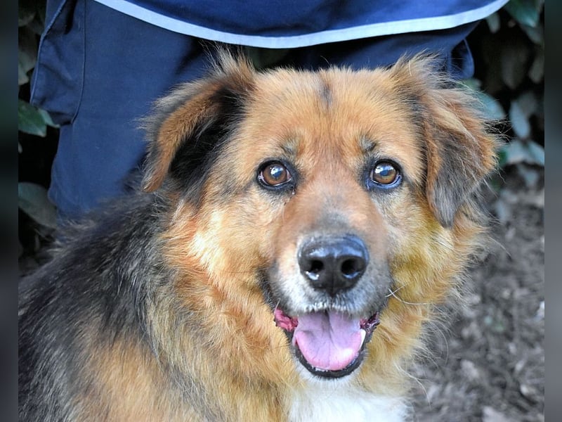 Zenone - Die unbeantwortete Frage von 2021