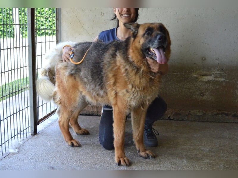 Baley - Groß, größer, Baley