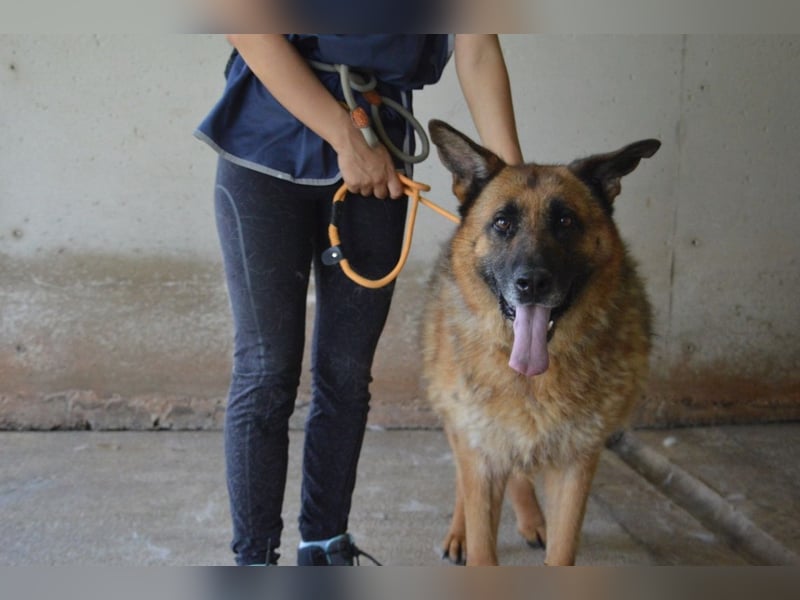 Baley - Groß, größer, Baley