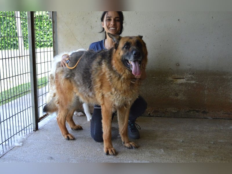 Baley - Groß, größer, Baley