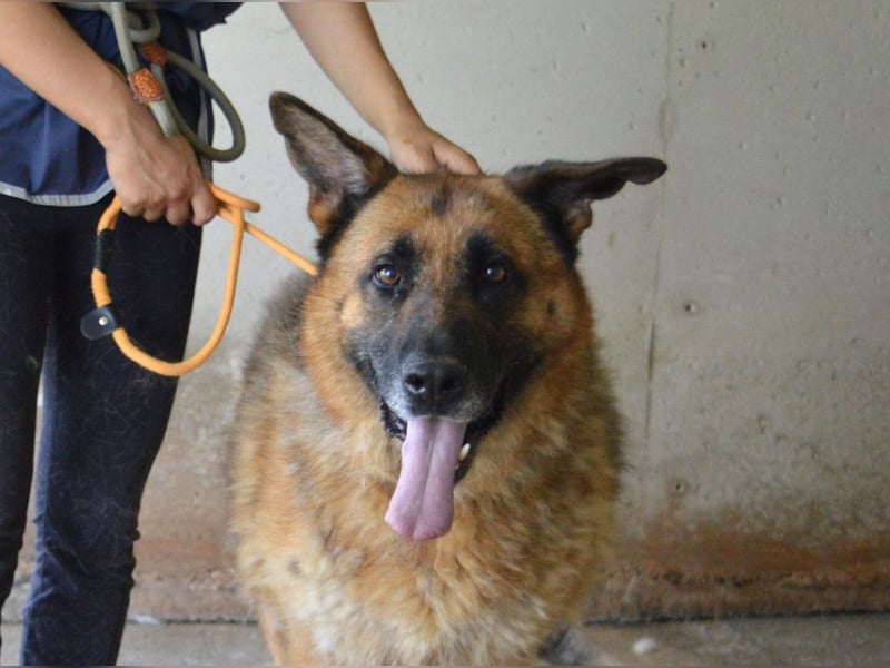 Baley - Groß, größer, Baley Baley - Groß, größer, Baley