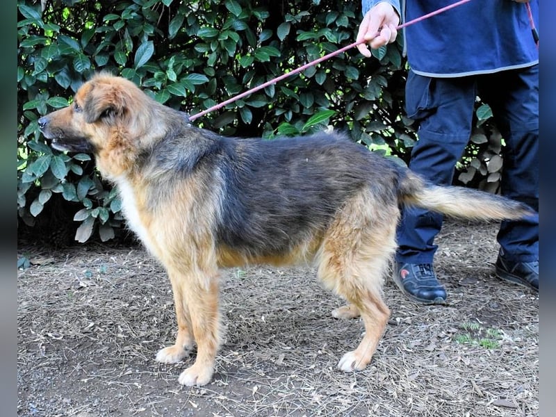 Zenone - Die unbeantwortete Frage von 2021