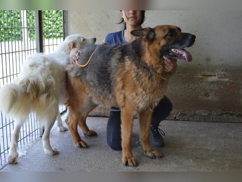 Baley - Groß, größer, Baley