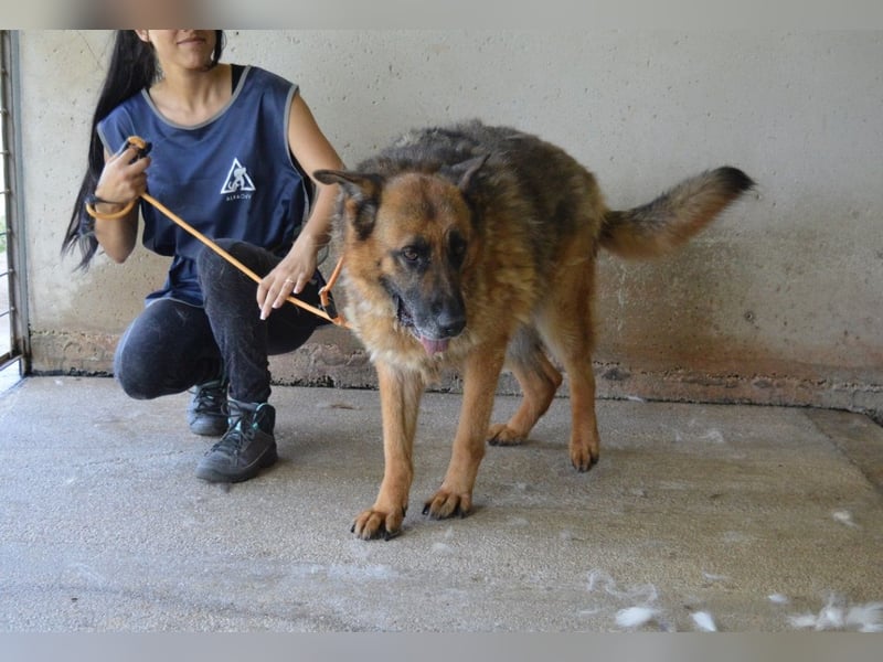 Baley - Groß, größer, Baley