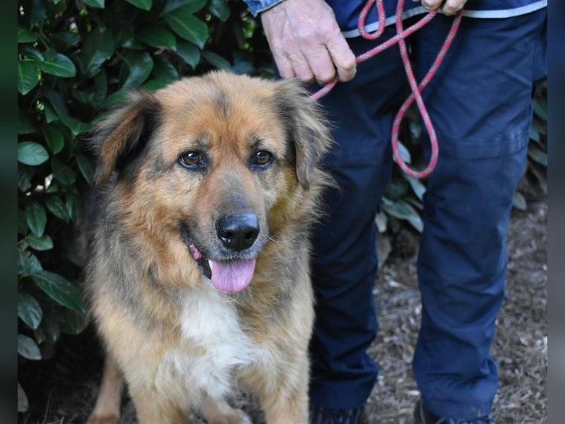 Zenone - Die unbeantwortete Frage von 2021