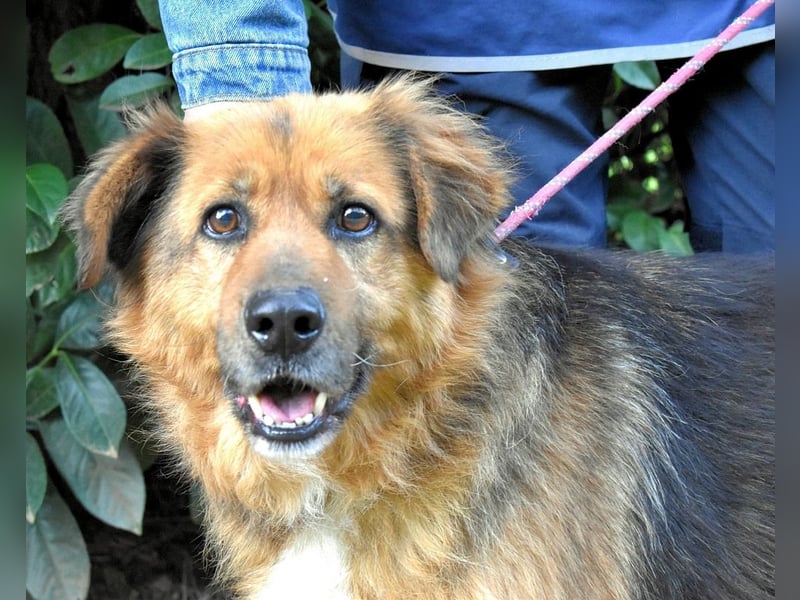 Zenone - Die unbeantwortete Frage von 2021