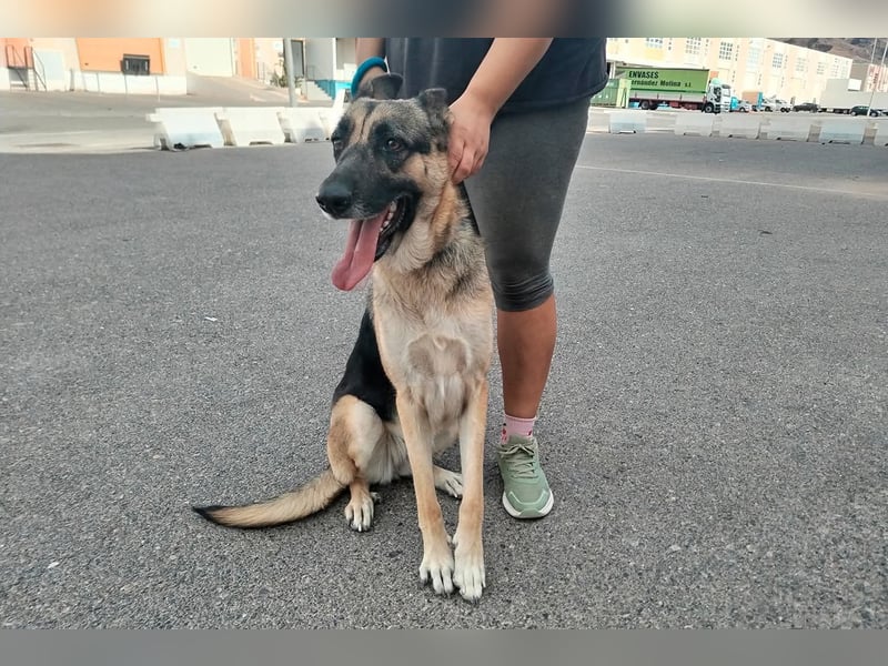 Libertad, eine Schönheit auf Körbchensuche