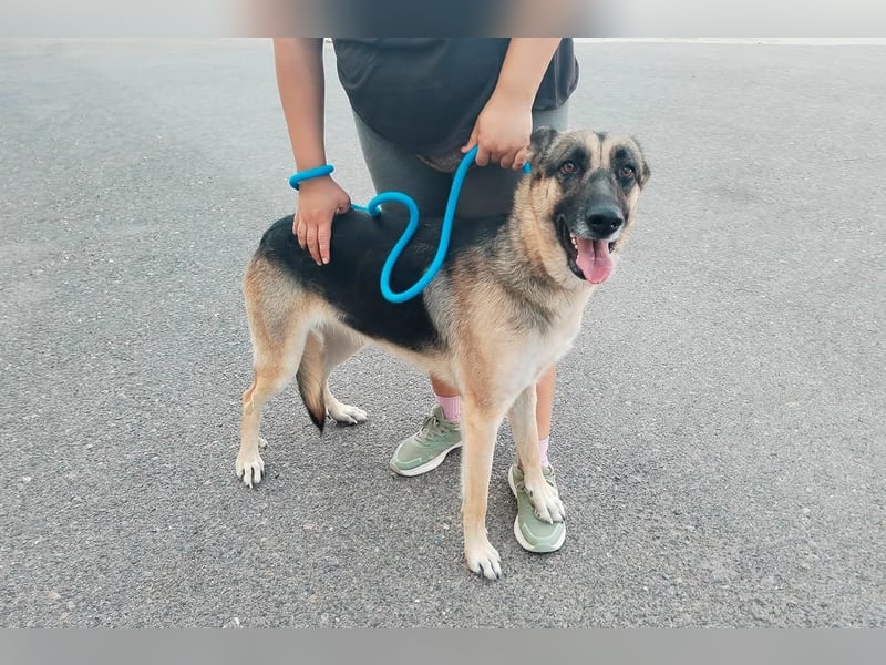 Libertad, eine Schönheit auf Körbchensuche