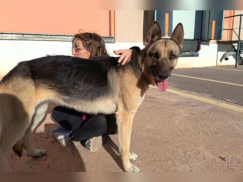 Libertad, eine Schönheit auf Körbchensuche