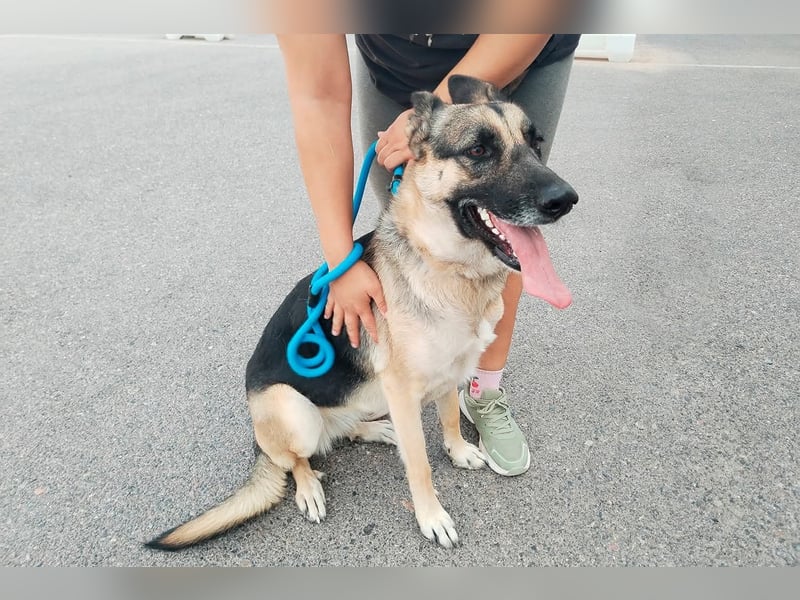 Libertad, eine Schönheit auf Körbchensuche