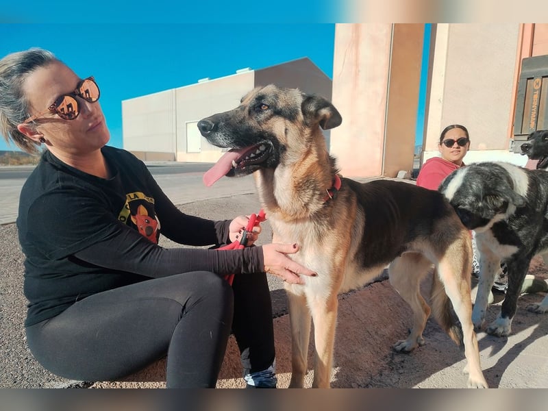 Libertad, eine Schönheit auf Körbchensuche