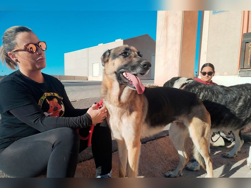 Libertad, eine Schönheit auf Körbchensuche