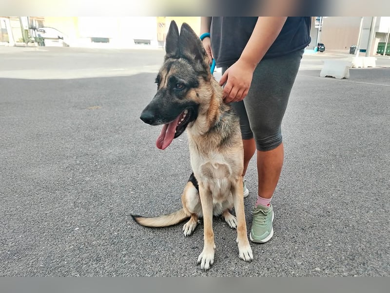 Libertad, eine Schönheit auf Körbchensuche