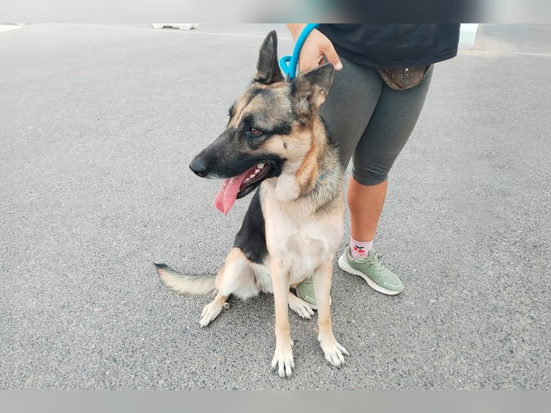 Libertad, eine Schönheit auf Körbchensuche