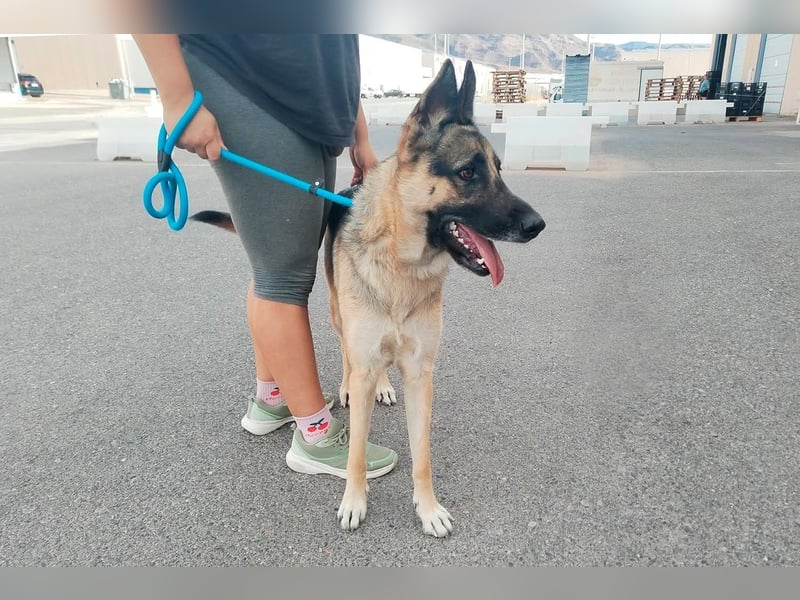 Libertad, eine Schönheit auf Körbchensuche