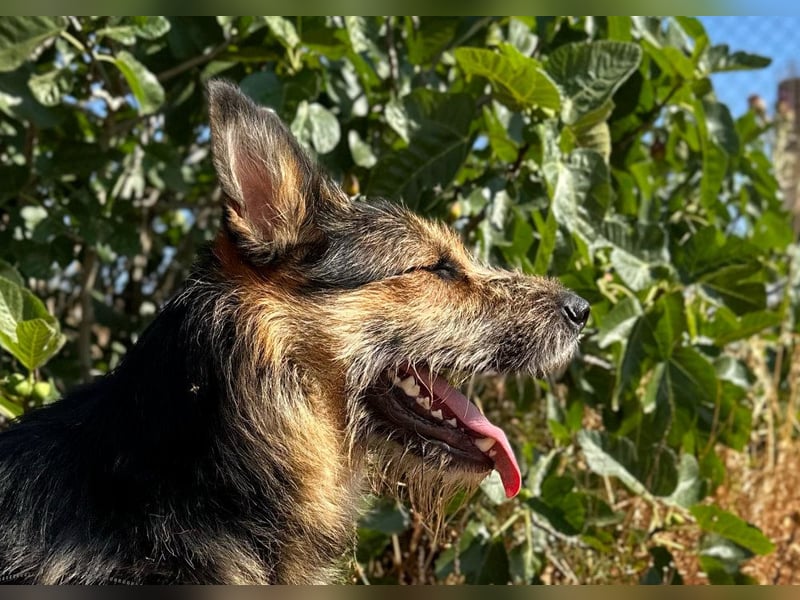 Luca