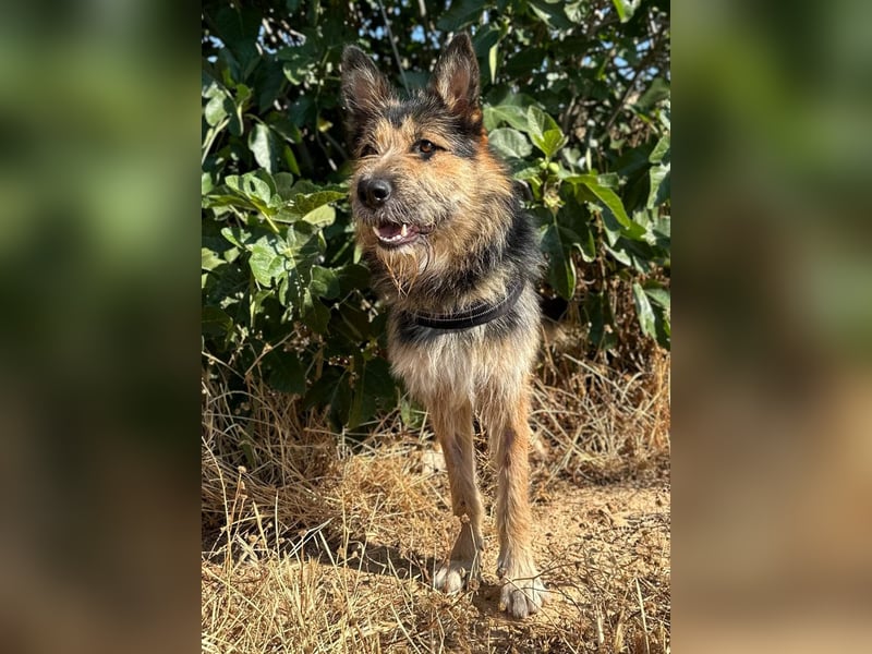 Luca