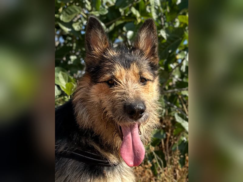 Luca