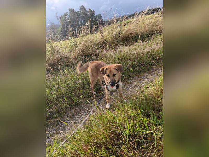 Bianca liebt Kinder und ist zu allem freundlich