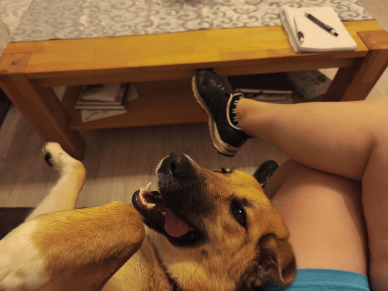 Bianca liebt Kinder und ist zu allem freundlich