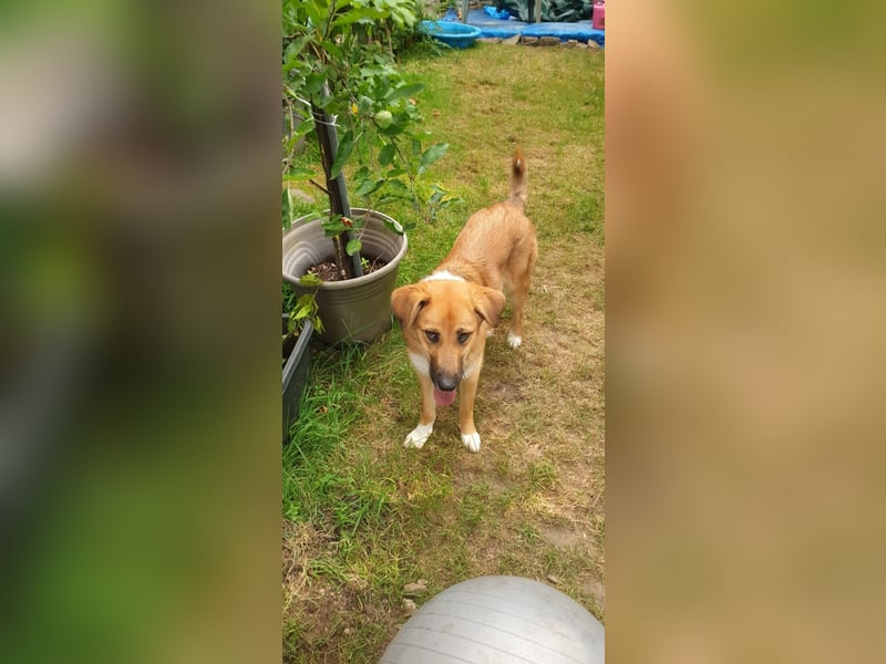 Bianca liebt Kinder und ist zu allem freundlich
