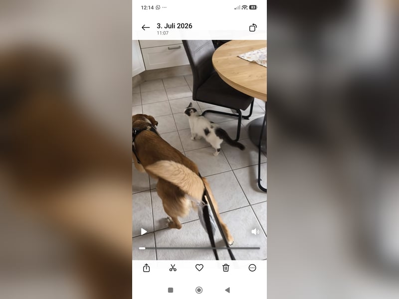 Bianca liebt Kinder und ist zu allem freundlich
