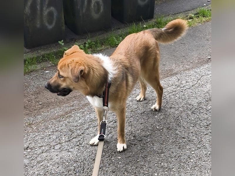 Bianca liebt Kinder und ist zu allem freundlich