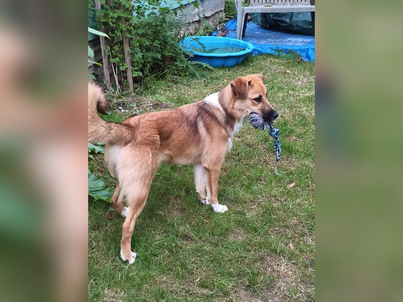 Bianca liebt Kinder und ist zu allem freundlich