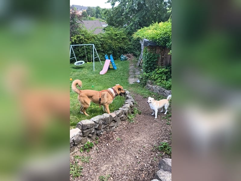 Bianca liebt Kinder und ist zu allem freundlich