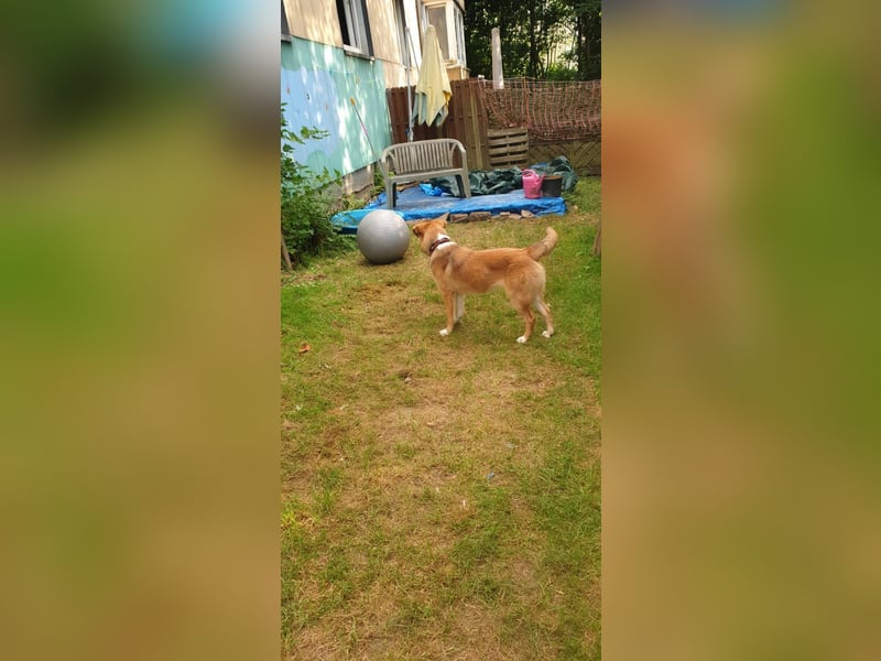 Bianca liebt Kinder und ist zu allem freundlich