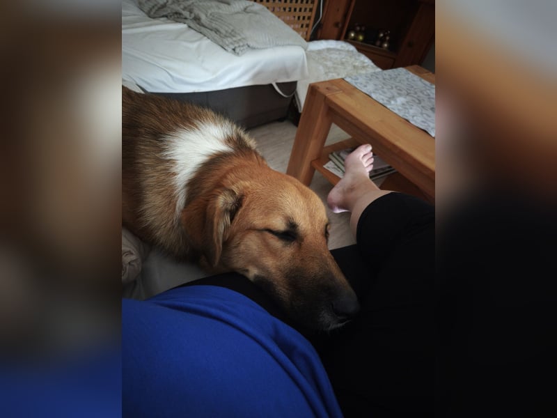 Bianca liebt Kinder und ist zu allem freundlich