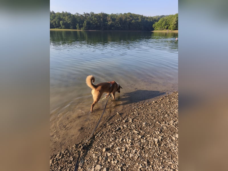Bianca liebt Kinder und ist zu allem freundlich