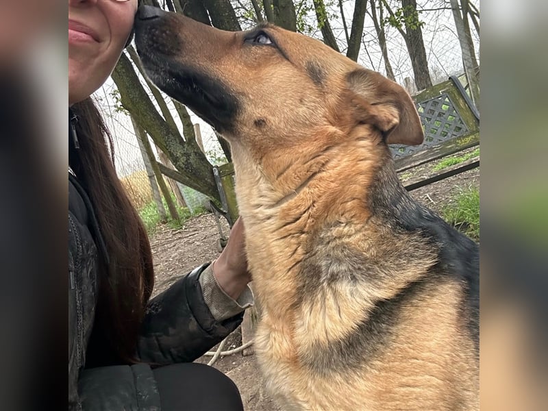 Liebe Maus Lizi sucht Happy End ❤