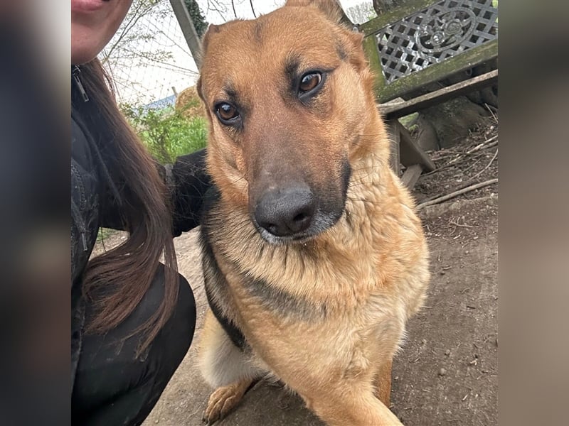 Liebe Maus Lizi sucht Happy End ❤