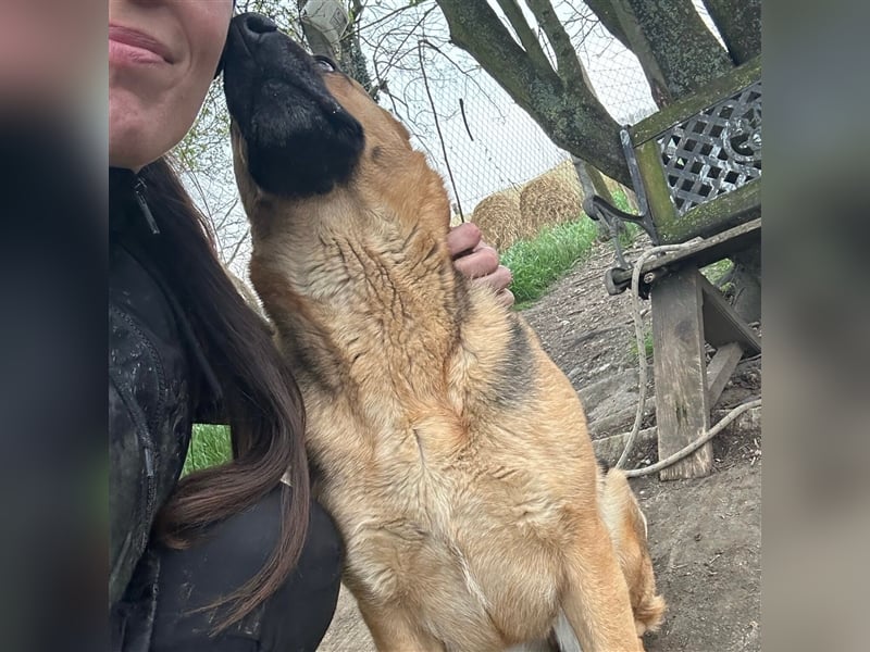 Liebe Maus Lizi sucht Happy End ❤