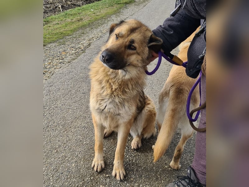 Lotta ein wundervolles Wesen