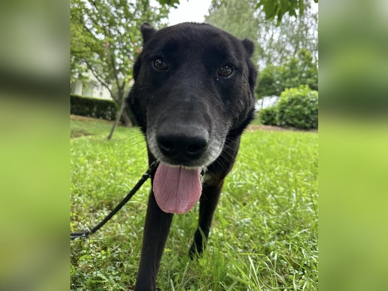 Woolfie möchte erfahren wie schön das Leben sein kann